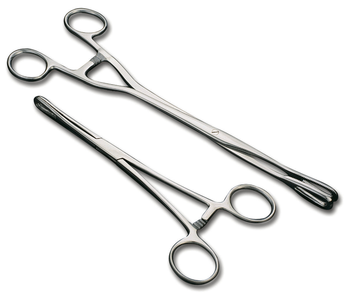 Rampley Sponge Forcep 18cm x10